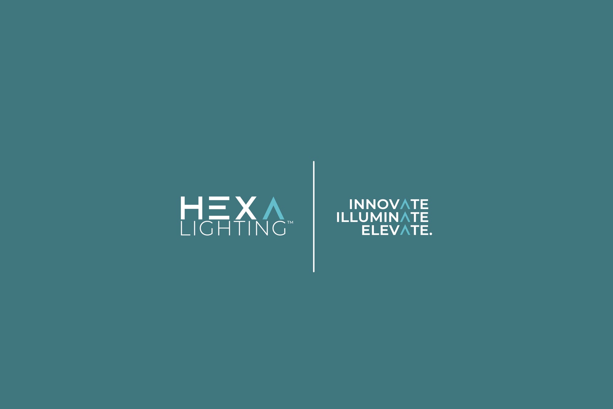 HEXA hexagon LED lighting in a large-format professional setting showcasing scale and brightness
